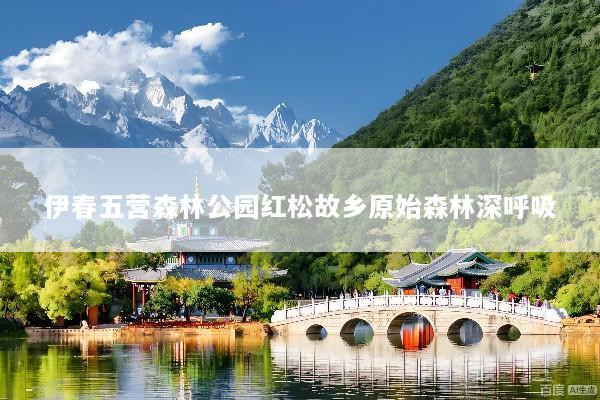 伊春五营森林公园红松故乡原始森林深呼吸