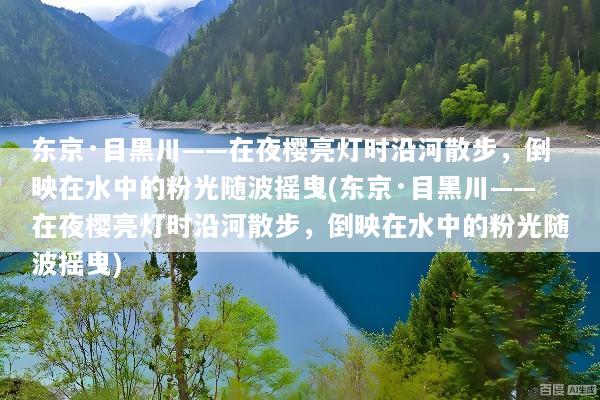 东京·目黑川——在夜樱亮灯时沿河散步，倒映在水中的粉光随波摇曳(东京·目黑川——在夜樱亮灯时沿河散步，倒映在水中的粉光随波摇曳)