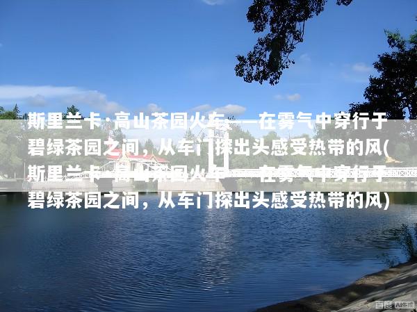 斯里兰卡·高山茶园火车——在雾气中穿行于碧绿茶园之间，从车门探出头感受热带的风(斯里兰卡·高山茶园火车——在雾气中穿行于碧绿茶园之间，从车门探出头感受热带的风)