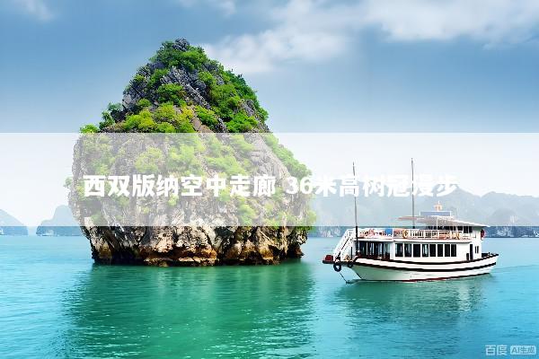 西双版纳空中走廊 36米高树冠漫步