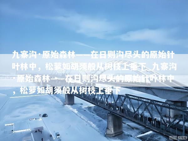 九寨沟·原始森林——在日则沟尽头的原始针叶林中，松萝如胡须般从树枝上垂下_九寨沟·原始森林——在日则沟尽头的原始针叶林中，松萝如胡须般从树枝上垂下