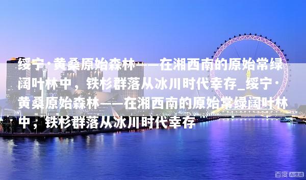 绥宁·黄桑原始森林——在湘西南的原始常绿阔叶林中，铁杉群落从冰川时代幸存_绥宁·黄桑原始森林——在湘西南的原始常绿阔叶林中，铁杉群落从冰川时代幸存