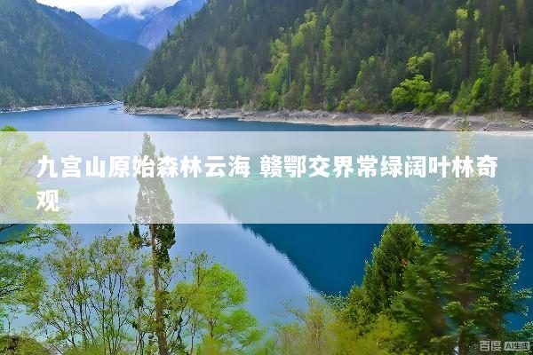 九宫山原始森林云海 赣鄂交界常绿阔叶林奇观