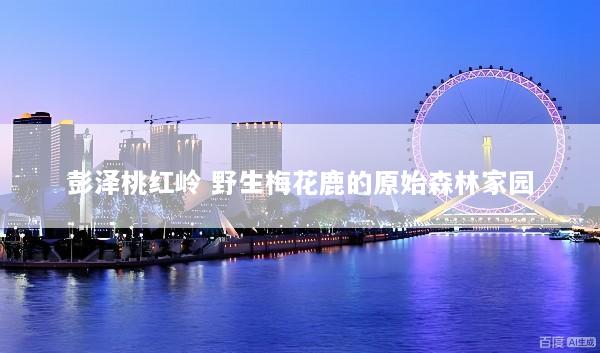 彭泽桃红岭 野生梅花鹿的原始森林家园