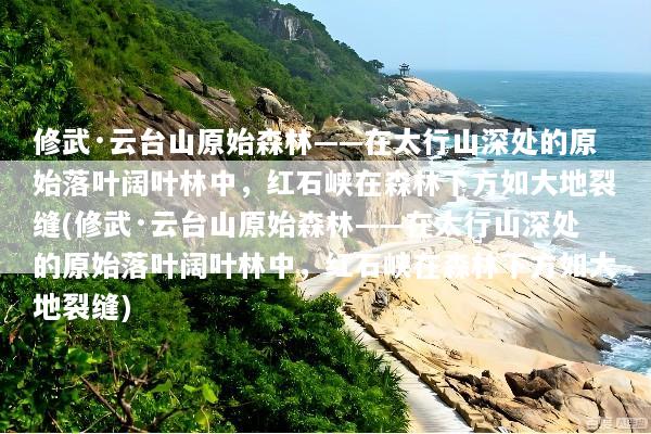 修武·云台山原始森林——在太行山深处的原始落叶阔叶林中，红石峡在森林下方如大地裂缝(修武·云台山原始森林——在太行山深处的原始落叶阔叶林中，红石峡在森林下方如大地裂缝)