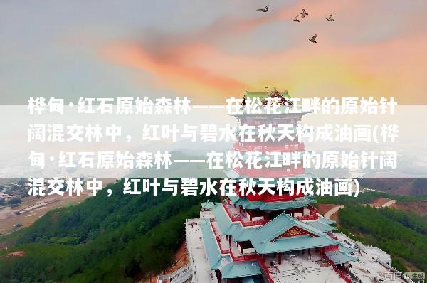 桦甸·红石原始森林——在松花江畔的原始针阔混交林中，红叶与碧水在秋天构成油画(桦甸·红石原始森林——在松花江畔的原始针阔混交林中，红叶与碧水在秋天构成油画)