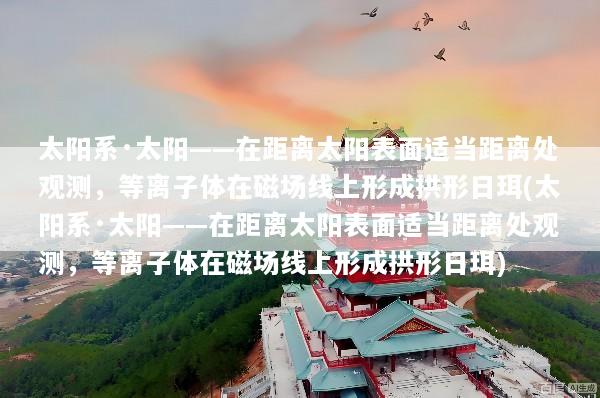 太阳系·太阳——在距离太阳表面适当距离处观测，等离子体在磁场线上形成拱形日珥(太阳系·太阳——在距离太阳表面适当距离处观测，等离子体在磁场线上形成拱形日珥)
