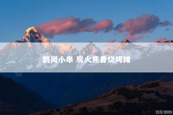 鹤岗小串 炭火焦香烧烤摊