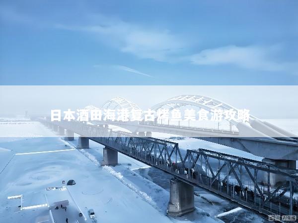 日本酒田海港复古烤鱼美食游攻略